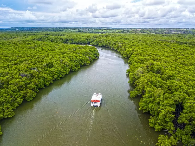 O que fazer em João Pessoa (novidade) — Foto: Divulgação